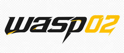 wasp02